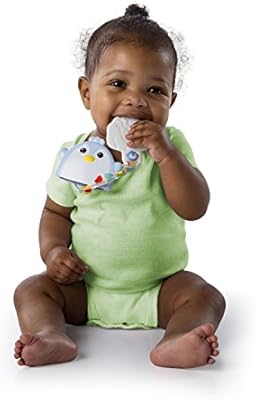 bright starts clip and tuck teether