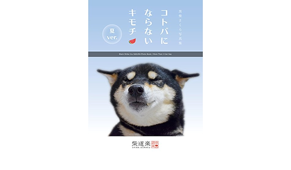Amazon Com More Than I Can Say Summer Part Black Shiba Inu Sakura Photo Book Black Shiba Inu Sakura Photo Book Fascicle Shibadoraku Japanese Edition Ebook Shibadoraku Books