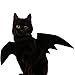 Halloween Pet Bat Wings Cat Dog Bat Costume