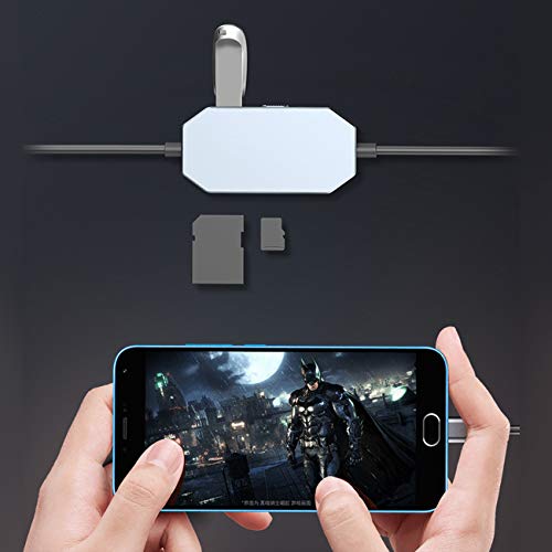 The perseids USB Type-C OTG Hub Docking Station Compatible with MacBook PC Windows Android Phone Tablet