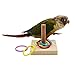 Bird Toys, Wooden Parrot Trick Tabletop Parrot Toys, Bird Educational Toy Parakeet Educational Foot Toys with Stacking Color Ring Sets for Small Bird Budgies Cockatiel Cockatoo Conure Lovebirdthumb 3