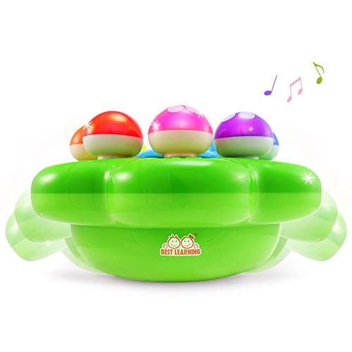 5 BEST+LEARNING+Mushroom+Garden+Educational