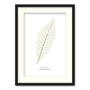 Black Paper Framed Canvas Wall Art for Living Room, Bedroom Simple Beautiful Leaves Canvas Prints for Home Decoration Ready to Hanging - 23x31 inches