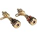 Dayton Audio BPA-38G HD Binding Post Pair Gold (2 Pack)