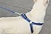 Best Step In No Pull Dog Harness for Large & Medium Size Breeds, Fits on Chest Girth Sized (1.0