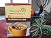Healthwise Marshmallow Hot Chocolate