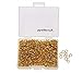 Shapenty 1000PCS Gold Plated Iron Open Jump Rings Connectors Bulk for DIY Craft Earring Necklace Bracelet Pendant Choker Jewelry Making Findings and Key Ring Chain Accessories (Gold, 4mm)