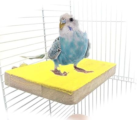 wooden perches for budgies