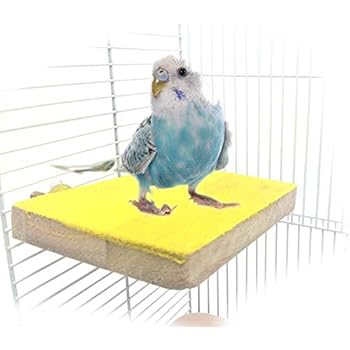 Colorful Bird Perch Stand Platform Natural Wood Playground Paw Grinding Clean for Pet Parrot Budgies Parakeet Cockatiels Conure Lovebirds Rat Mouse Cage Accessories Exercise Toys (Side)