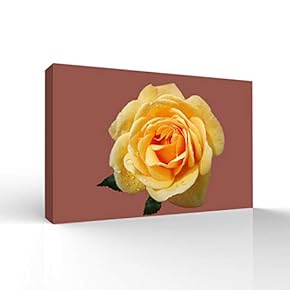 Canvas Wall Art Beautiful Flowers Pictures Home Wall Decorations for Bedroom Living Room Paintings Canvas Prints Framed - 12x18 inches