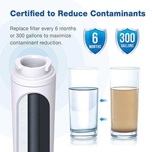 Waterspecialist UKF8001 Water Filter, Replacement for EveryDrop Filter