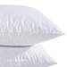 puredown® 18 x 18 Decorative Feather Down Throw Pillow Inserts (Set of 2, White) for Sofa, Couch, Bed, Machine Washable