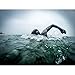 blueseventy Thermal Swim Gloves - for Triathlon Training and Cold Open Water Swimming - Large