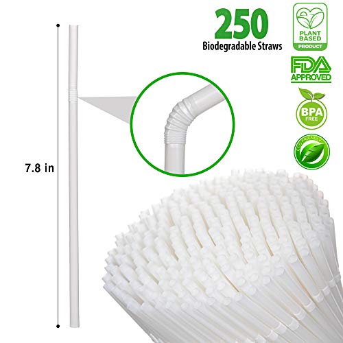 StrawPanda Trinkhalme auf Pflanzenbasis, biologisch abbaubar, 250 Stück, 100 % kompostierbar, eine umweltfreundliche… – Bild 2