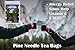 Pine Needle Tea Wild Harvested - Powerful Antioxidants Vitamin C and A Preservative Free - Vegan and Paleo Friendly 20 Bag Pack