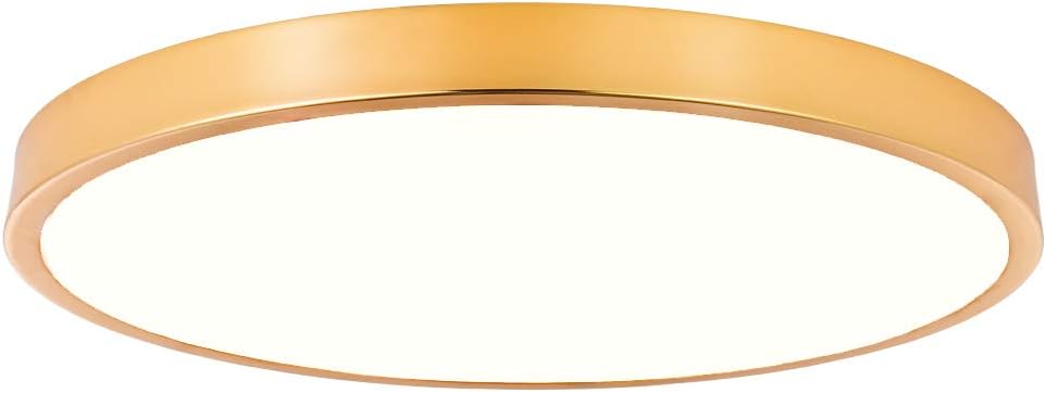 SOTTAE 9 Inch Modern LED Flush Mount Ceiling Light, 9W Stunning Golden Finish, 3000K (Soft White) 900 Lumens Dimmable,1.1 Inch Ultra-Thin Ceiling Lamps for Entryway Kitchen Bathroom Dining Room