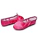 MSMAX Ballet Shoes for Girls Toddler Shoes Rose Dance Slippers for Party 12 M US Little Kid