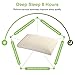 EARTH MIRACLE Memory Foam Pillow (Latex Pillow, Standard)