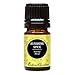 Sunshine Spice Synergy Blend Essential Oil by Edens Garden (Balsam, Camphor, Cinnamon Bark, Cinnamon Leaf, Eucalyptus and Sweet Orange)- 5 ml