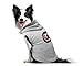 Littlearth NCAA Pet Hooded Crewneck