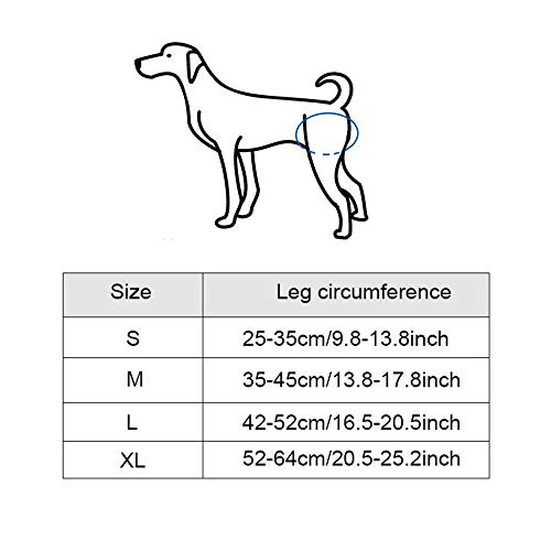 KOBWA Dog Lift Dog Mobility Lift Support Harness for for Hip Assist Stability Injured Disabled Arthritis ACL Joint Pain Elderly(L Size) - Thumbnail 6