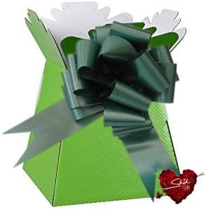 Shik Gifts Lime Green Living Vase Flower Box Flower Bouquet Transporter, Sweet Tree Box and Green Pull Bow + Mini card