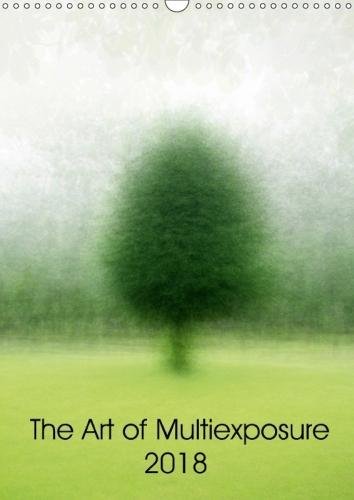 The Art of Multiexposure 2018 2018: My World Painted by the Camera (Calvendo Art)