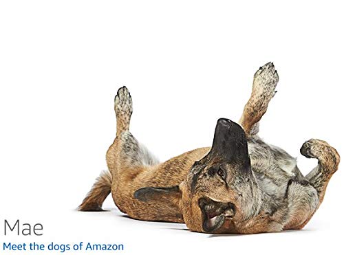 gen mai gou si quan jia