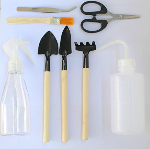8pcs Succulent Transplanting Miniature Fairy Garden Planting Gardening Plant Care Hand Tools Set
