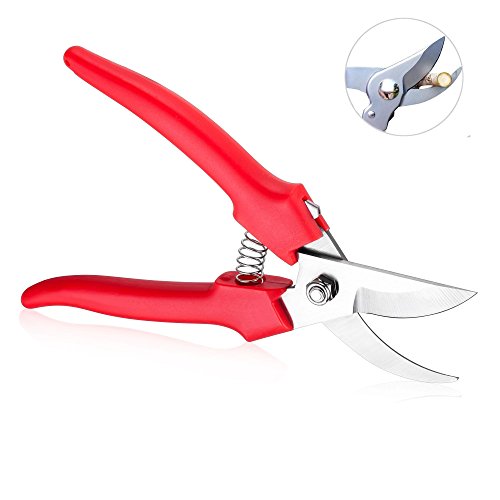 Ebaco Professional Sharp Bypass Pruning Shears, Tree Trimmers Gardening Scissors,Hand Pruner, Garden Shears,Clippers For The Garden. … (Pruning Shears)