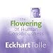 The Flowering of Human Consciousness: Everyone's Life Purpose by 