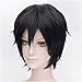Flovex Short Straight Anime Cosplay Wigs Natural Sexy Costume Party Daily Hair (Black 1)