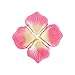 JUYO VONSAN® 1000pcs Rose Petals Wedding Odorless Flowers Petals Favors for You Special Wedding (Pink Plus White)
