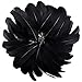 Feather for Crafts,250 Pcs Coloured Feather Striking Feathers for DIY Dream Catchers Natural Crafts Feathers for Wedding/Party/Decorations(3 Sizes) (Black)