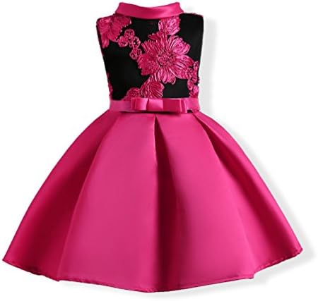 Csbks Girls Princess Dress Toddler Swing Pageant Party Dresses Age 2-3 Years Flowers-Hot Pink