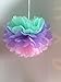 Fonder Mols Rainbow Fluffy Tissue Paper Pom Poms - Hanging Flower Ball for Unicorn themed Baby Shower Decorations Birthday Party Celebration - 6 pcs