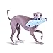 Outward Hound Kyjen  2704 Bottle Buddies Squeaker Dog Toys Squeak Chew Toy, Large, Blue