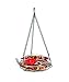 Nature's Way Bird Products GHF5 Hand Blown Garden Top Fill Hummingbird Feeder, 16 oz Capacity, Molten