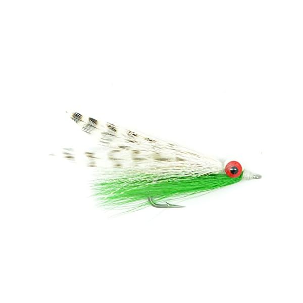 The-Fly-Fishing-Place-Clousers-Minnow-Fly-Fishing-Flies-Assortment-Collection-of-8-Saltwater-and-Bass-Flies-Hook-Size-10