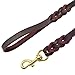 Beirui Leather Dog Leash - Training & Walking Braided Dog Leash - 4 ft by 1/2 in (120cm 1.2cm) - Latigo Leather Brown