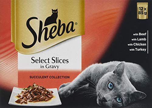 Sheba Cat Pouches 2025