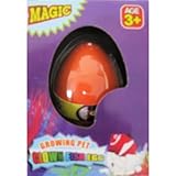Hatching Clown Fish Egg