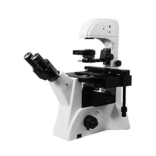 BoliOptics FM02020303 Inverted Microscope