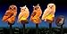 Outdoor Decorative Solar Garden Owls - Set of 4