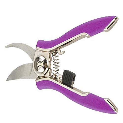 Dramm 18016 Stainless Steel Compact Pruner, Berry