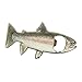Rainbow Stainless Steel Trout Fish Bottle Opener Fridge Magnet Cool Shiny