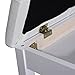 HOMCOM Piano Bench, Duet Piano Chair with Faux Leather Padded Cushion and Wooden Frame, Button Tufted Keyboard Bench, White