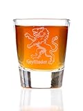 Gryffindor House Harry Potter Inspired Shot Glass