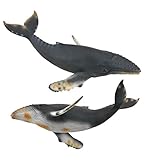 CollectA Sea Life Humpback Whale Toy Figure - Authentic Hand Painted Model