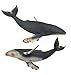CollectA Sea Life Humpback Whale Toy Figure - Authentic Hand Painted Model
